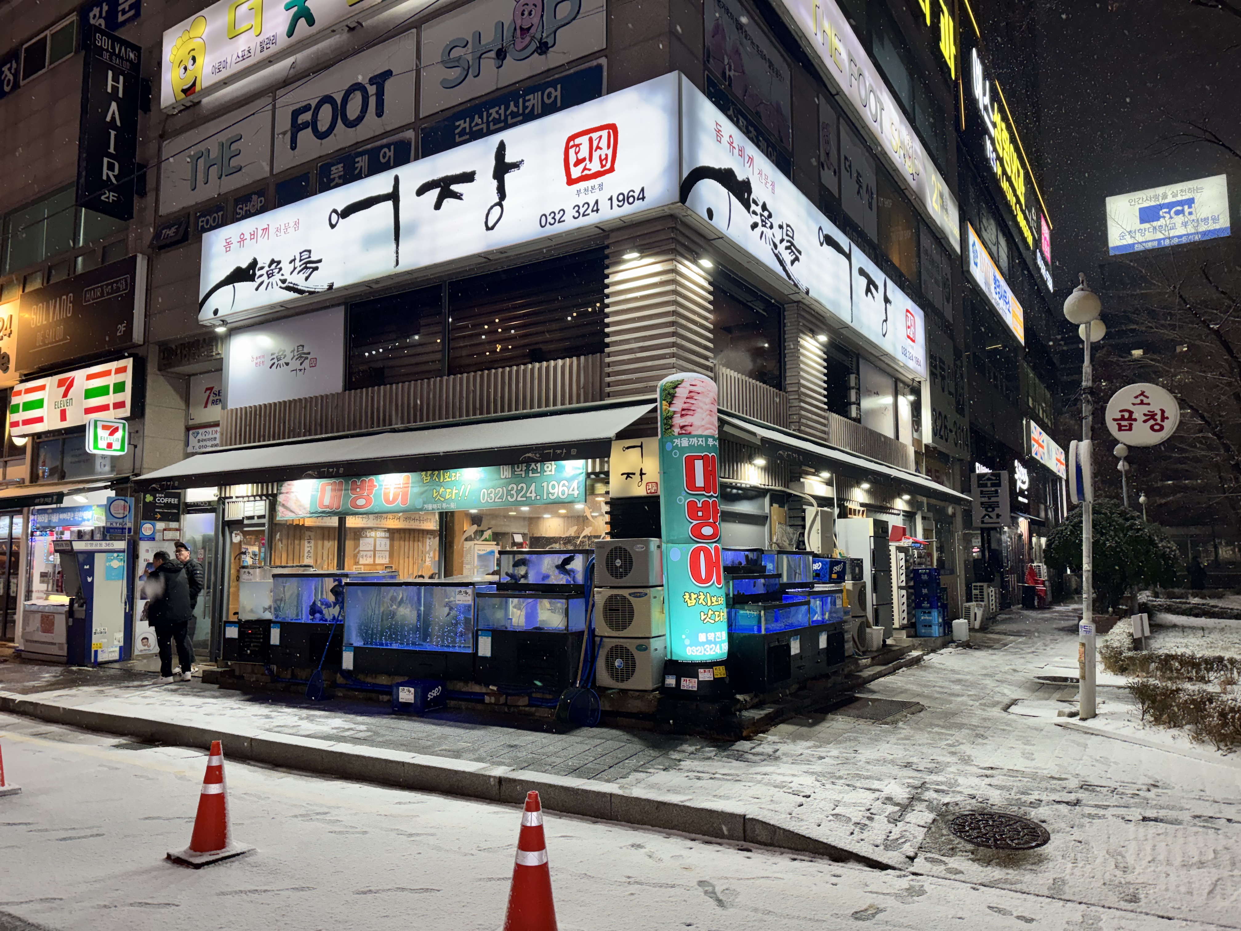 도다리회